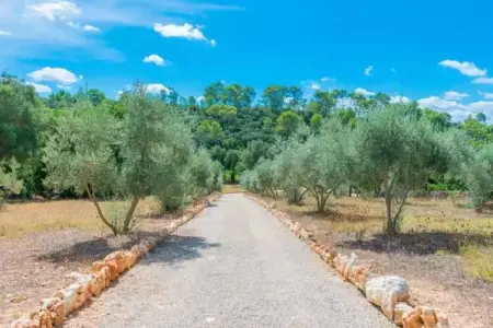 Can Pina - Eco Cascada -, Finca charmante à Costitx avec piscine privée - Photo 20