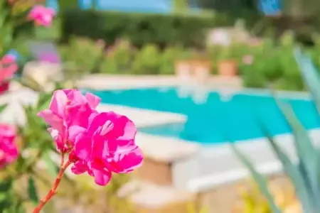 Can Pina - Eco Cascada -, Finca charmante à Costitx avec piscine privée - Photo 24