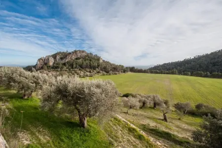 Can BessÓ Mancor De La Vall, Villa à Mancor avec Piscine et Vue - Photo 34