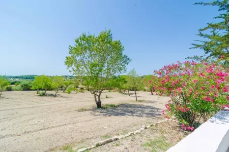 Sa Rota (den Joan Porrerenc), Appartement moderne avec terrasse - Photo 22