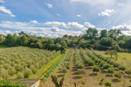 Sabor De Cas Ferrer, Finca paisible avec piscine au sel - Photo 27