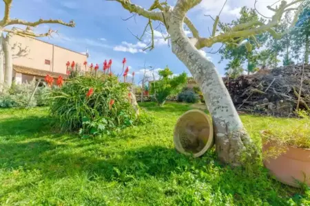 Sabor De Cas Ferrer, Finca paisible avec piscine au sel - Photo 30