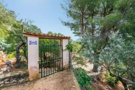 S'olivaret (fornalutx), Authentique maison en pierre majorquine - Photo 8