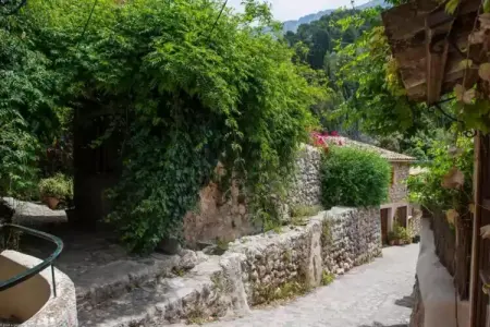 S'olivaret (fornalutx), Authentique maison en pierre majorquine - Photo 19