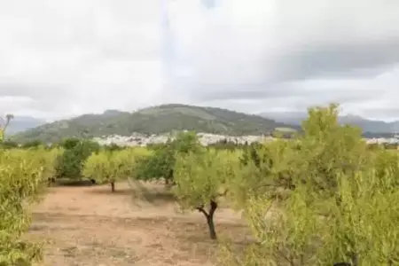 Casa Vella (vall Petit), Charmante retraite avec vue sur la montagne - Photo 33