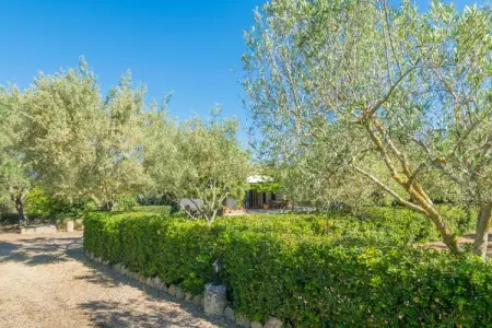 Can Mostatxet, Villa à Can Picafort avec piscine privée - Photo 27