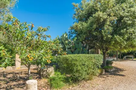 Can Mostatxet, Villa à Can Picafort avec piscine privée - Photo 28