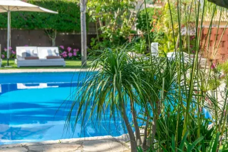 La Font (mancor), La Font (mancor) - Villa Con Piscina Privada - Photo 50