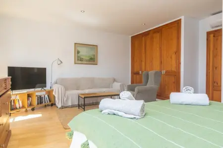 Els Àngels, Maison de village élégante avec piscine - Photo 27