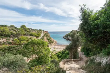 Es Mirador (cales De Mallorca), Séjour côtier, Cales de Majorque - Photo 28