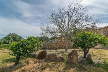 Son Barrigo, Finca à Porreres avec Piscine Privée et BBQ - Photo 30