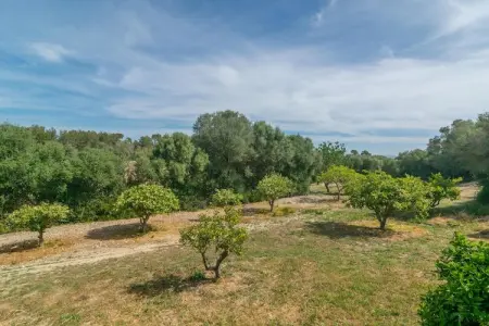 Son Barrigo, Finca à Porreres avec Piscine Privée et BBQ - Photo 32