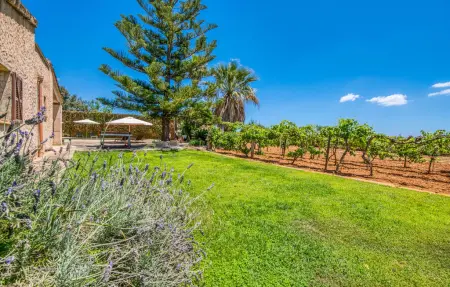 Sa Grua, Maison 6 personnes à Sant Llorenc - Photo 6