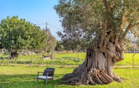 Morell Nou, Maison 8 personnes à Pollenca - Photo 18