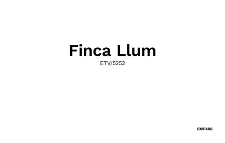 Llum, Maison 8 personnes à Manacor - Photo 50