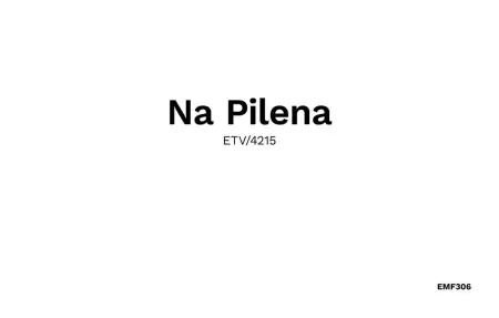 Na Pilena, Maison 6 personnes à Cala Ratjada - Photo 42