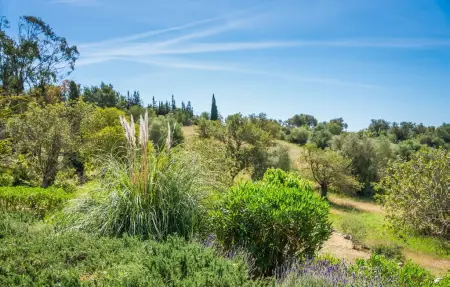 La Talayeta, Maison 6 personnes à Arta - Photo 24