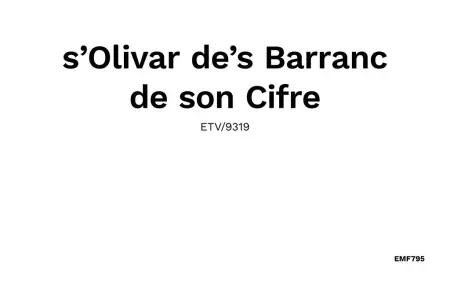 Barranc de Son Cifre, Maison 8 personnes à Manacor - Photo 40