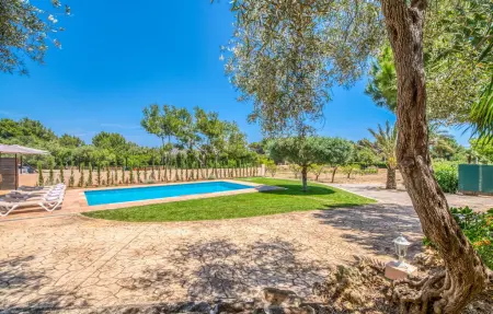 Olivo de Son Jaumell, Maison 6 personnes à Cala Ratjada - Photo 3