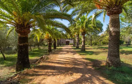 S'Erisal, Maison 6 personnes à Alaro - Photo 19