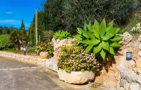 Son Galta, Maison 5 personnes à Cala Millor - Photo 28