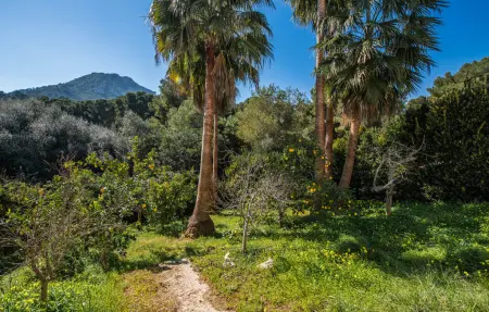 Valerie de Sa Cala, Maison 4 personnes à Sa Font de Sa Cala - Photo 23