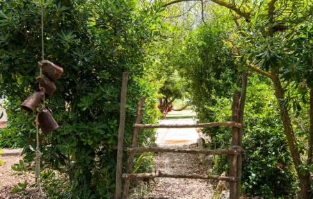 Es Raconet, Maison 8 personnes à Son Servera - Photo 25