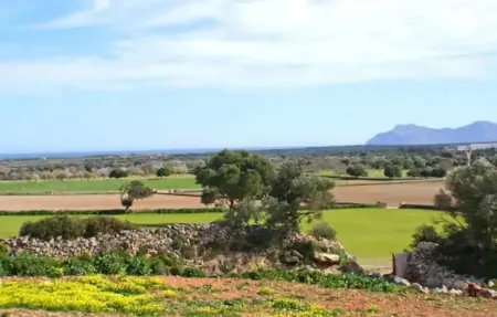 Petit Saraix, Maison 8 personnes à Santa Margalida - Photo 10