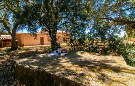 Son Julia, Maison 4 personnes à Porreres - Photo 22