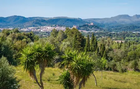 Oliveres, Maison 8 personnes à Arta - Photo 22