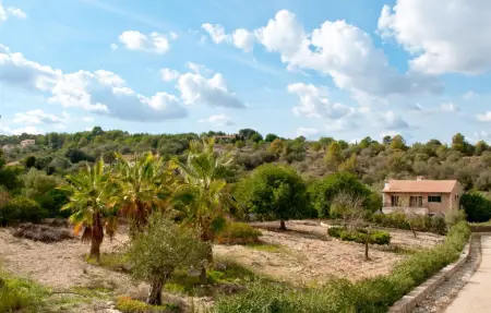 Sa Sinia, Maison 12 personnes à Petra - Photo 4