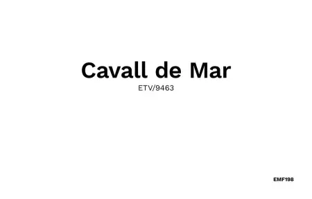 Cavall de Mar, Maison 4 personnes à Sant Llorenc - Photo 40