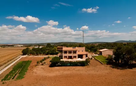 Son Perot, Maison 11 personnes à Manacor - Photo 4