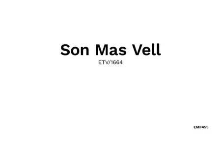Son Mas Vell, Maison 12 personnes à Manacor - Photo 50
