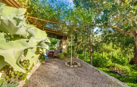 Higo Chumbo, Maison 4 personnes à Porreres - Photo 21