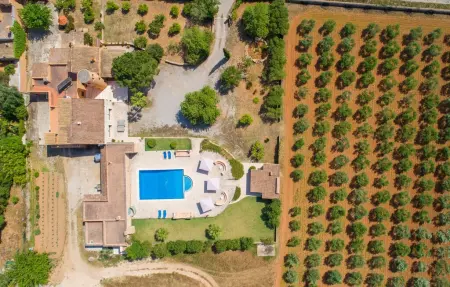 Casa Fina, Maison 12 personnes à Felanitx - Photo 13