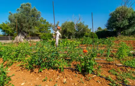 Sa Finca, Maison 6 personnes à Arta - Photo 17