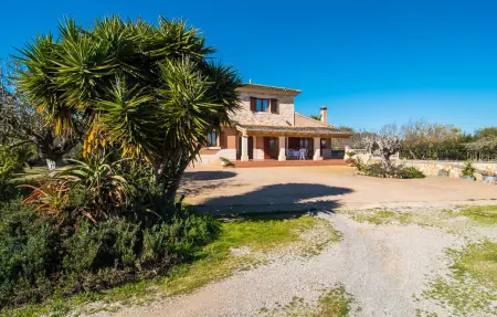 Sa Gravera de Sa Barrala, Maison 8 personnes à Ses Covetes - Photo 16
