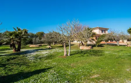 Sa Gravera de Sa Barrala, Maison 8 personnes à Ses Covetes - Photo 27