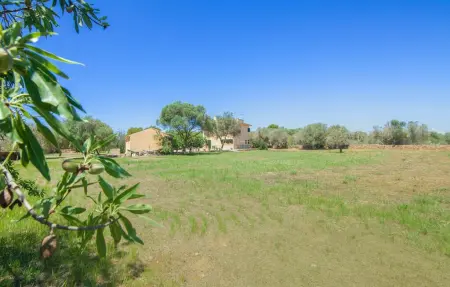 Casa Andrea, Maison 6 personnes à Ses Salines - Photo 14