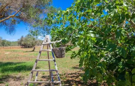 Casa Andrea, Maison 6 personnes à Ses Salines - Photo 24