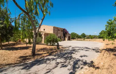 Son Peris, Maison 8 personnes à Cas Concos des Cavalle - Photo 14