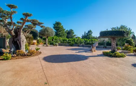 Pula Vinas, Maison 7 personnes à Son Servera - Photo 11