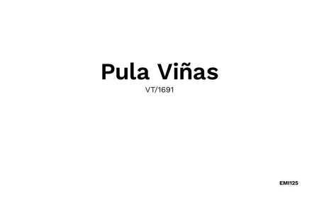 Pula Vinas, Maison 7 personnes à Son Servera - Photo 33