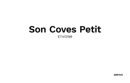 Son Coves Petit, Maison 4 personnes à Ses Salines - Photo 35