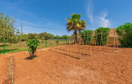 Sauma, Maison 6 personnes à Arta - Photo 21