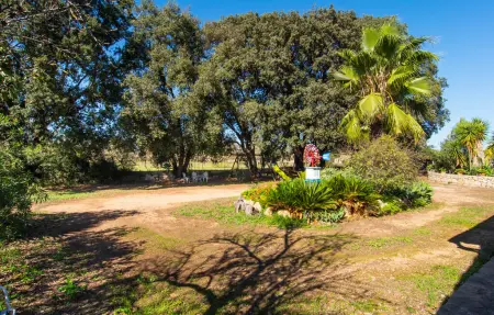 Sa Figuera Blanca, Maison 4 personnes à Buger - Photo 15