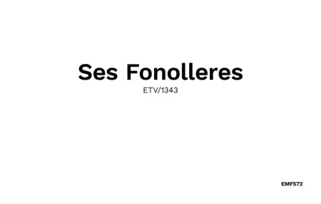 Ses Fonolleres, Maison 6 personnes à Son Servera - Photo 50