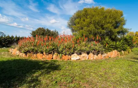 Es Revolt de Sa Barrala, Maison 7 personnes à Ses Covetes - Photo 22