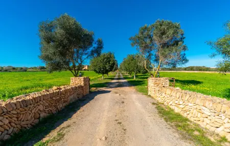 Es Turo Formentera, Appartement 2 personnes à Ses Salines - Photo 20
